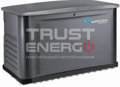 Газовый генератор Mirkon Energy MKG6M В кожухе Mirkon Energy  trustenergo.ru