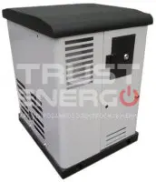 Газовый генератор REG ARCTIC GG6-230SV