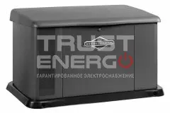 Газовый генератор Briggs & Stratton G140 В кожухе Briggs&Stratton Vanguard V-TWIN trustenergo.ru