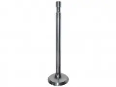 Клапан выпускной TDS 555 12VTE/Exhaust valve