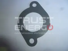 Прокладка крышки термостата/Gasket