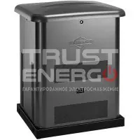 Газовый генератор Briggs & Stratton G80 В кожухе Briggs&Stratton Vanguard V-TWIN trustenergo.ru